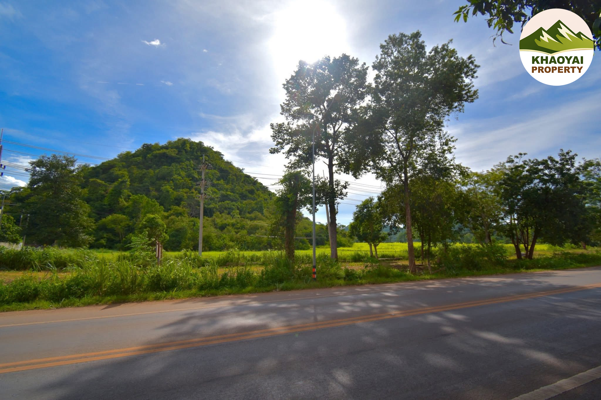ที่ดินบนถนนธนะรัชต์ (ก่อนถึงแยกไฟแดงบ้านไร่หมูสี) - Image 3