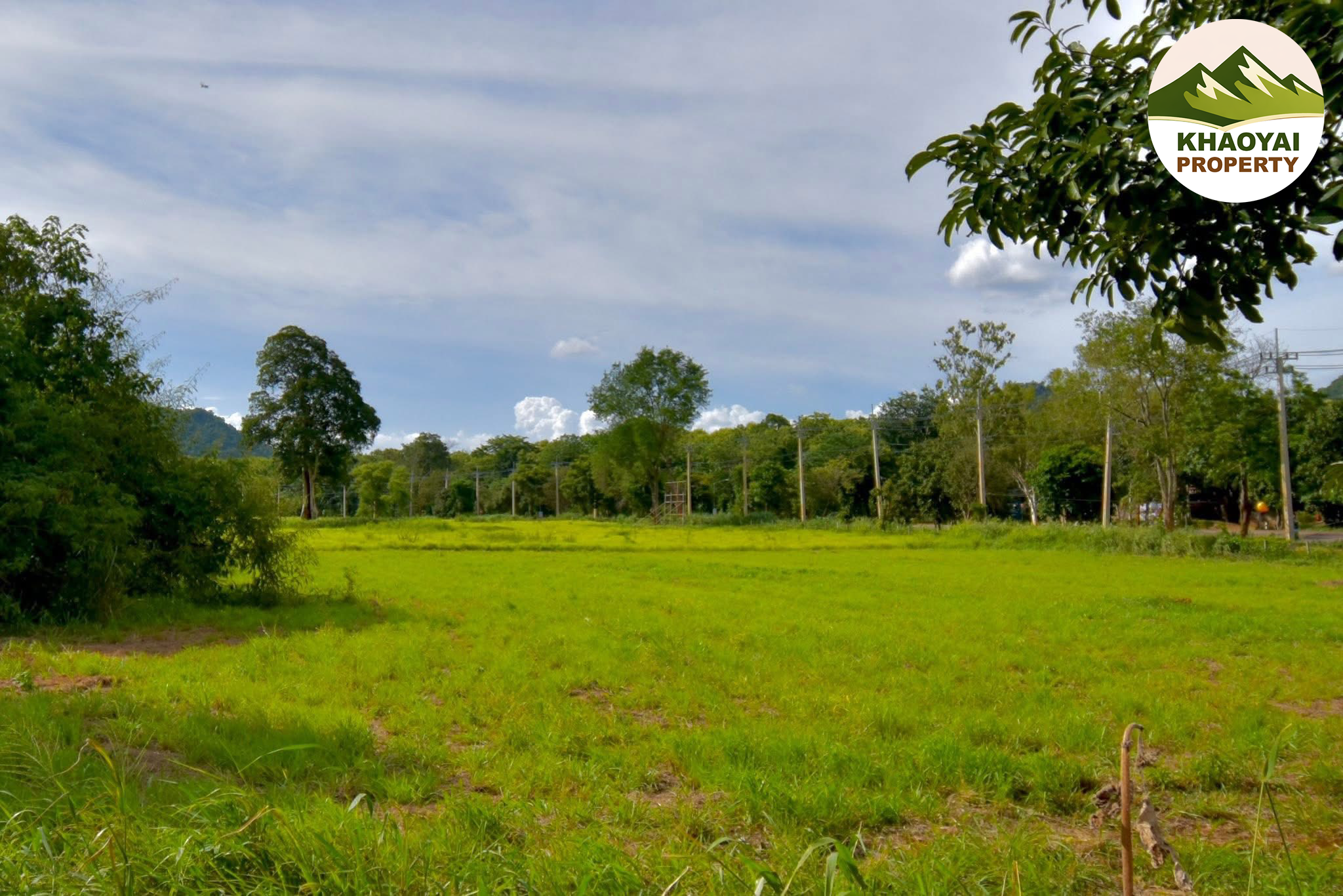 ที่ดินบนถนนธนะรัชต์ (ก่อนถึงแยกไฟแดงบ้านไร่หมูสี)