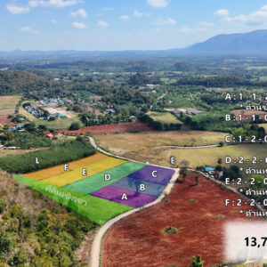 ทรัพย์ 6 แปลง บ้านท่าช้าง บ้านไร่-หมูสี