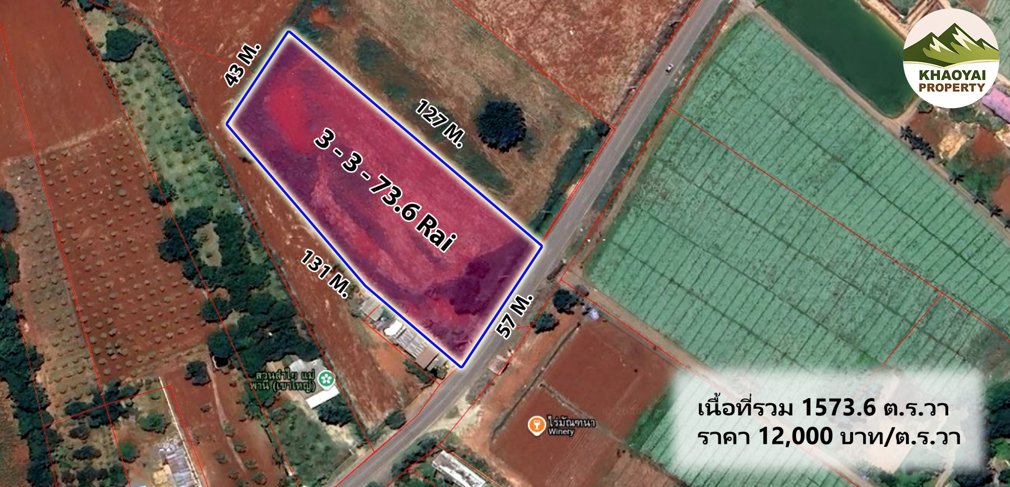 ที่ดินถนนท่าช้าง-สี่แยกบุ่งเตย - Image 2